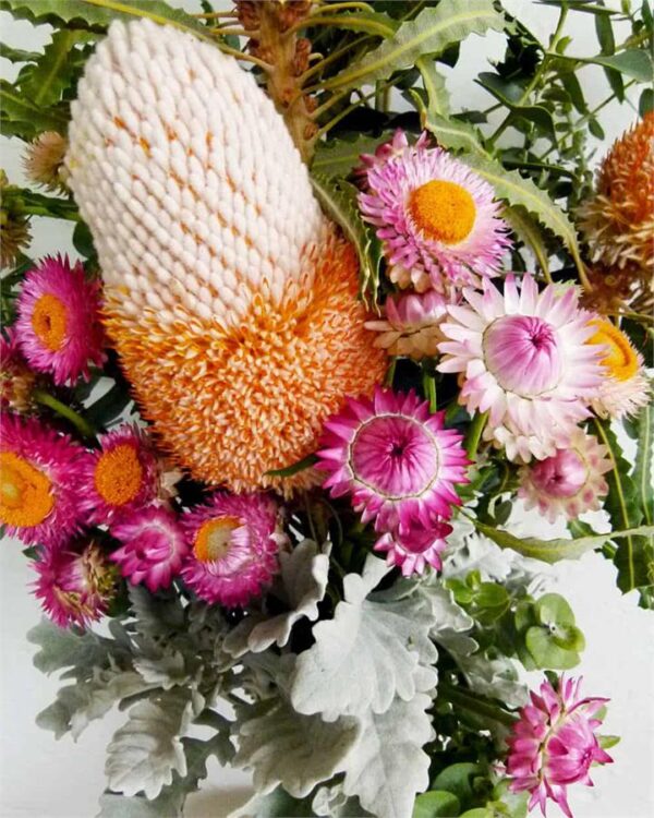 Broome Fresh Cut Flowers