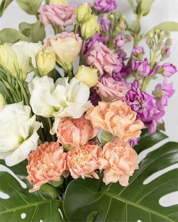 Lisbon Fresh Cut Flowers