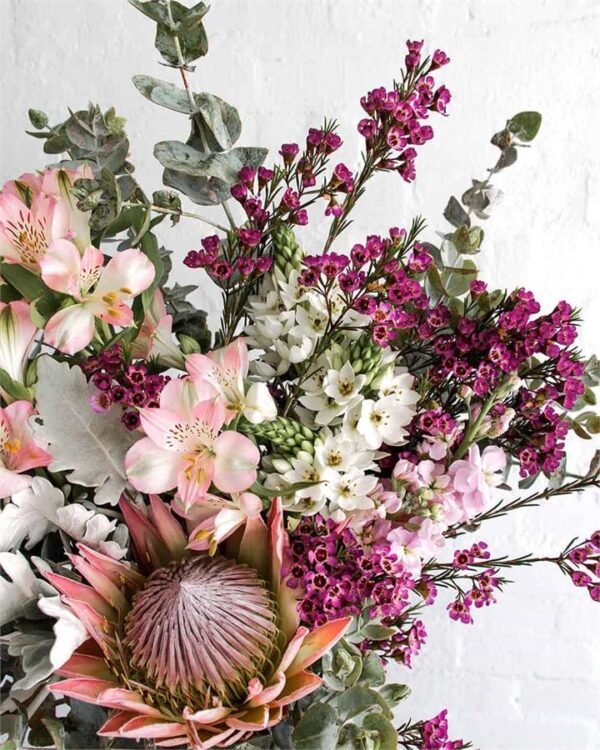 Kakadu Fresh Cut Flowers