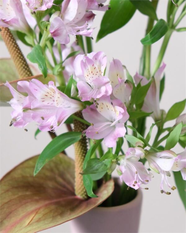 Portofino Vase Arrangement Fresh Cut Flowers