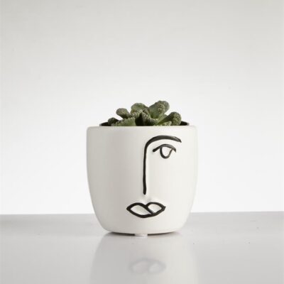 Succulent Titanopsis? in Face Pot