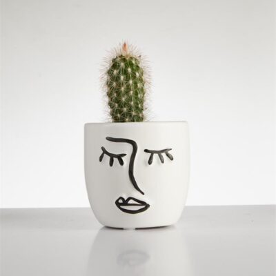 Cactus Esposta? tall in Face Pot