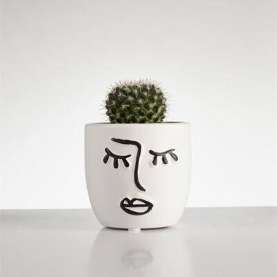 Cactus Mammillaria? single in Face Pot