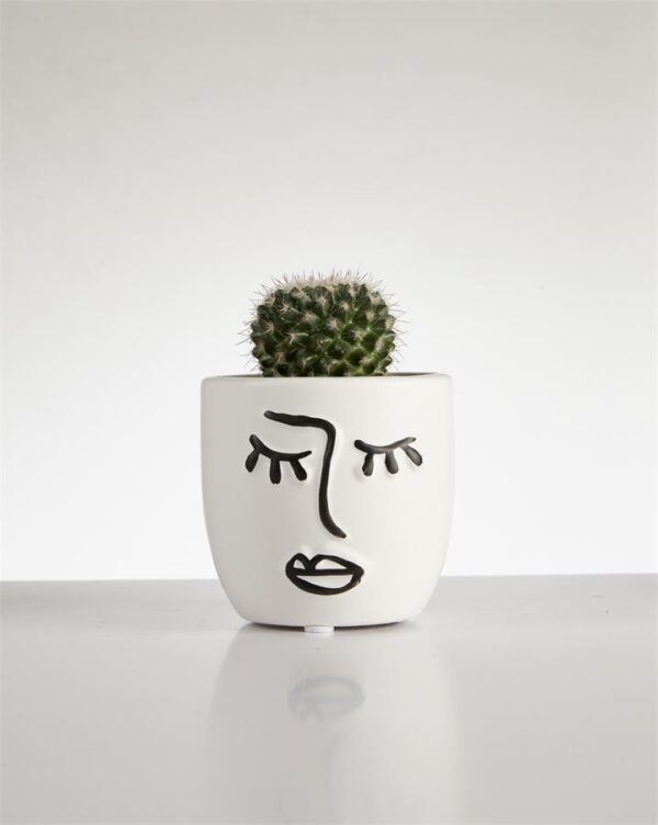 Cactus Mammillaria? single in Face Pot