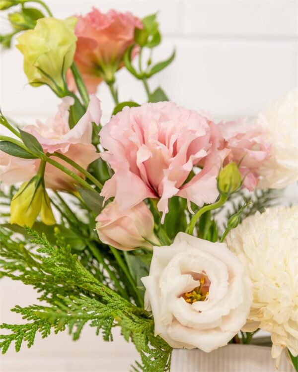 Monaco Fresh Cut Flowers