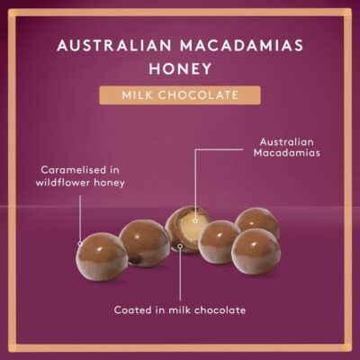 Koko Black Honey Macadamias | Milk Chocolate Mamjo Gifts Koko Black Honey Macadamias | Milk Chocolate