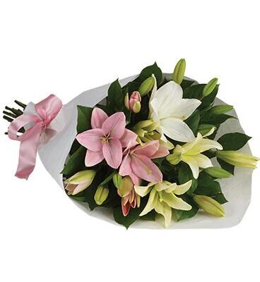 Lovely Lilies