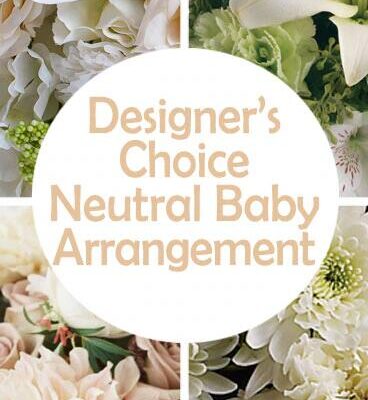 DC Neutral New Baby Arrangement